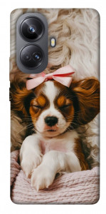 Чехол Sleepy spaniel для Realme 10 Pro+
