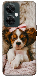 Чехол Sleepy spaniel для OnePlus Nord CE 3 Lite