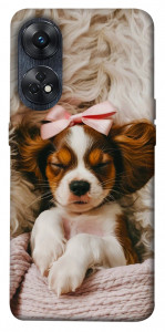 Чехол Sleepy spaniel для Oppo Reno 8 T 4G