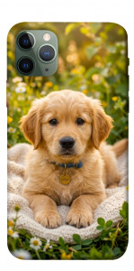 Чохол Small labradore для iPhone 11 Pro