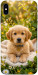 Чохол Small labradore для iPhone X