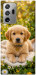 Чехол Small labradore для Galaxy Note 20 Ultra