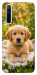 Чехол Small labradore для Realme 6
