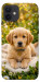 Чехол Small labradore для iPhone 12