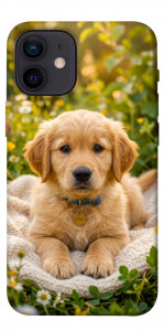 Чехол Small labradore для iPhone 12 mini