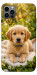Чехол Small labradore для iPhone 12 Pro