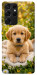 Чехол Small labradore для Galaxy S21 Ultra