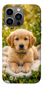 Чехол Small labradore для iPhone 13 Pro