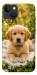 Чехол Small labradore для iPhone 13