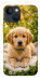 Чехол Small labradore для iPhone 13 mini