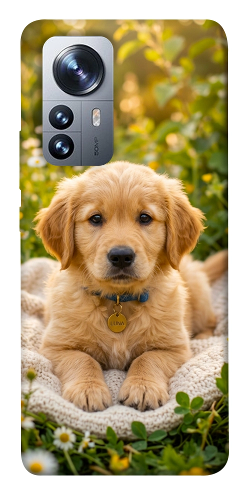 Чохол Small labradore для Xiaomi 12
