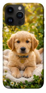 Чехол Small labradore для iPhone 14 Pro Max