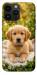 Чехол Small labradore для iPhone 14 Pro Max