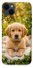 Чехол Small labradore для iPhone 14 Plus