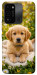 Чохол Small labradore для TECNO Spark 8C