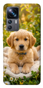 Чохол Small labradore для Xiaomi 12T