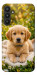 Чехол Small labradore для Galaxy A34 5G
