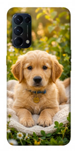 Чохол Small labradore для Oppo Reno 5 4G