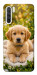 Чехол Small labradore для Oppo Reno 3