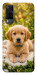 Чехол Small labradore для Vivo Y31