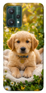 Чехол Small labradore для Realme 9 Pro