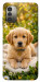 Чохол Small labradore для Nokia G11