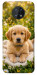 Чохол Small labradore для Nokia G50