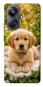 Чехол Small labradore для Realme 10 Pro+