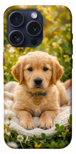 Чехол Small labradore для iPhone 15 Pro
