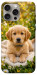 Чехол Small labradore для iPhone 15 Pro Max