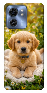 Чохол Small labradore для Motorola Edge 40