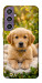 Чехол Small labradore для Galaxy S23 FE