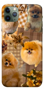 Чехол Spitz aethtetic для iPhone 11 Pro Max