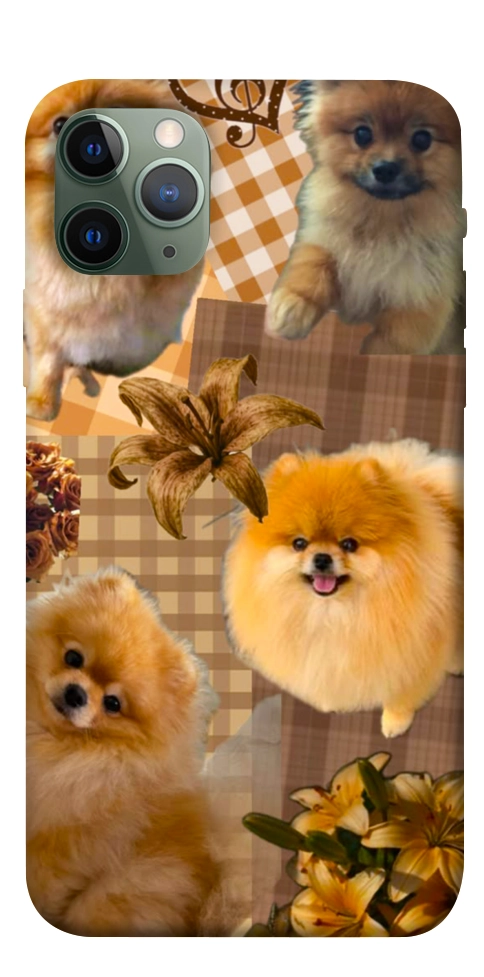 Чохол Spitz aethtetic для iPhone 11 Pro