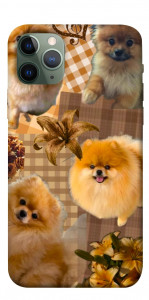 Чохол Spitz aethtetic для iPhone 11 Pro