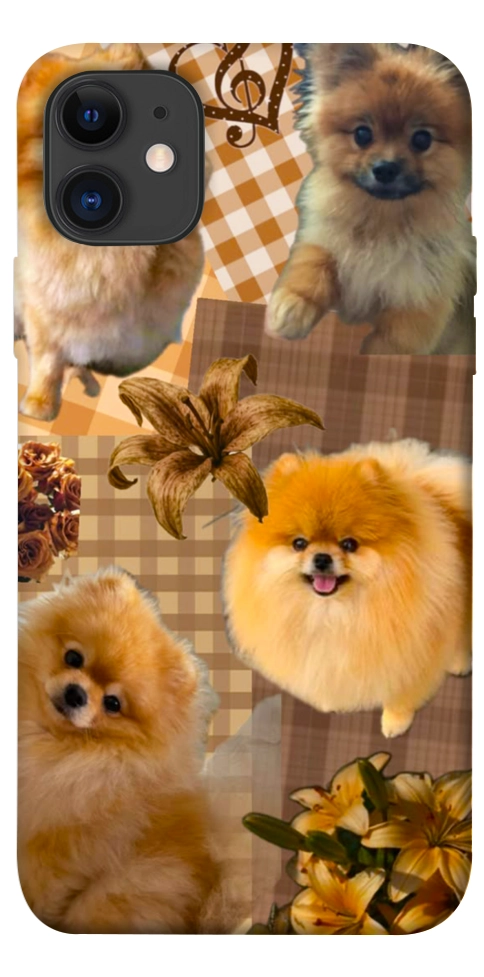 Чехол Spitz aethtetic для iPhone 11