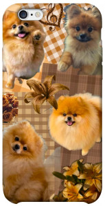 Чехол Spitz aethtetic для iPhone 6 (4.7'')
