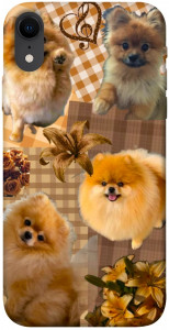Чехол Spitz aethtetic для iPhone XR