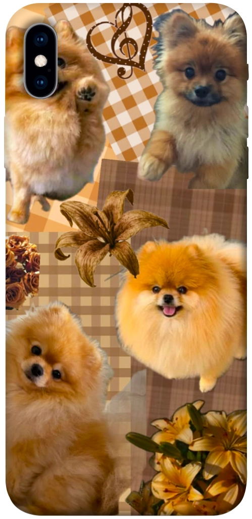 Чохол Spitz aethtetic для iPhone XS Max