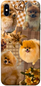 Чехол Spitz aethtetic для iPhone XS Max