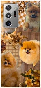 Чехол Spitz aethtetic для Galaxy Note 20 Ultra