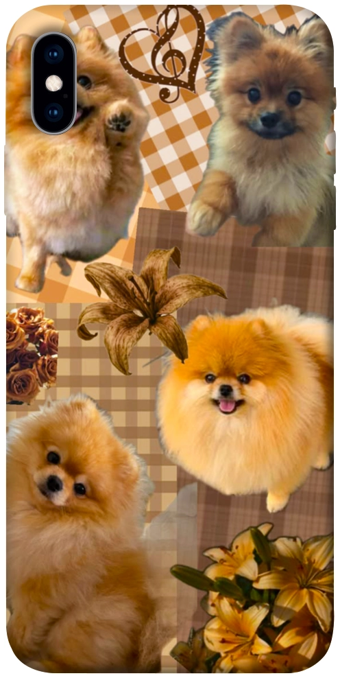 Чехол Spitz aethtetic для iPhone XS
