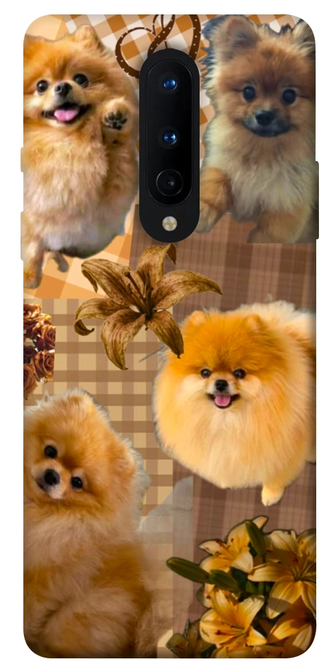 Чехол Spitz aethtetic для OnePlus 8