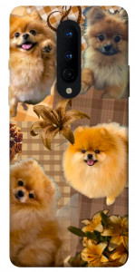 Чохол Spitz aethtetic для OnePlus 8