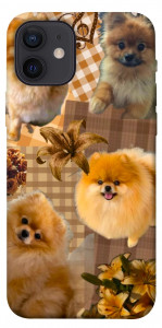 Чехол Spitz aethtetic для iPhone 12
