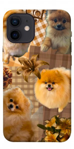 Чехол Spitz aethtetic для iPhone 12 mini