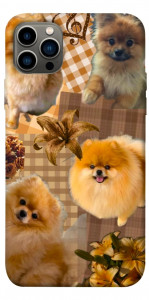 Чехол Spitz aethtetic для iPhone 12 Pro