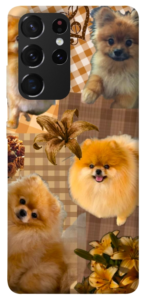 Чехол Spitz aethtetic для Galaxy S21 Ultra