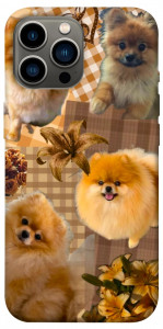 Чехол Spitz aethtetic для iPhone 13 Pro Max