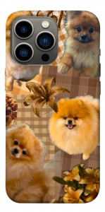 Чехол Spitz aethtetic для iPhone 13 Pro